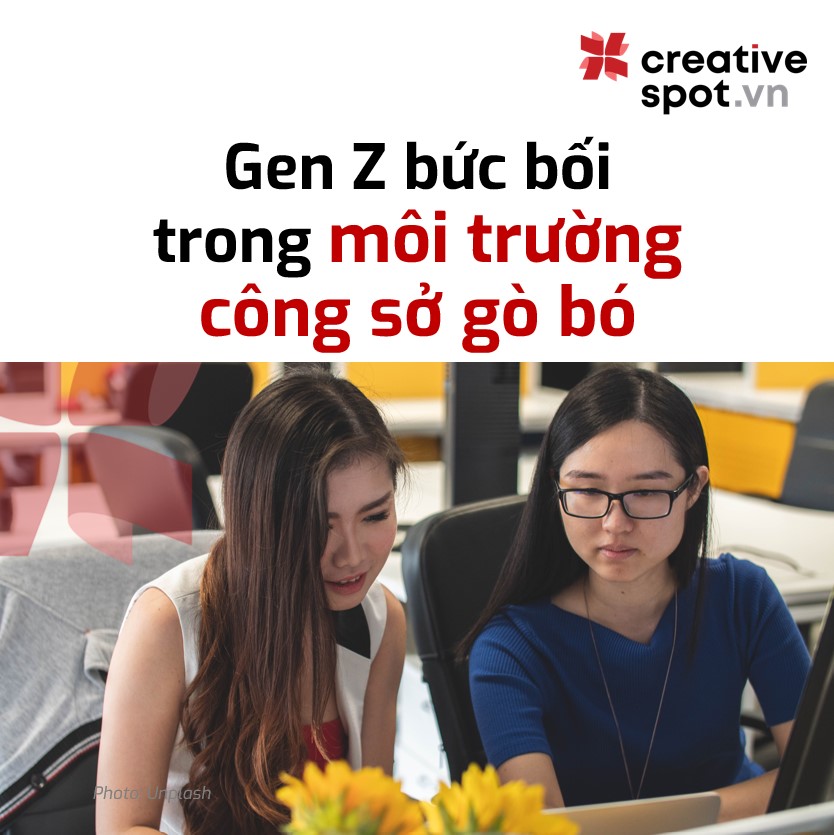 Hai nữ nhân viên văn phòng Gen Z đang ngồi làm việc cùng nhau trong môi trường công sở.